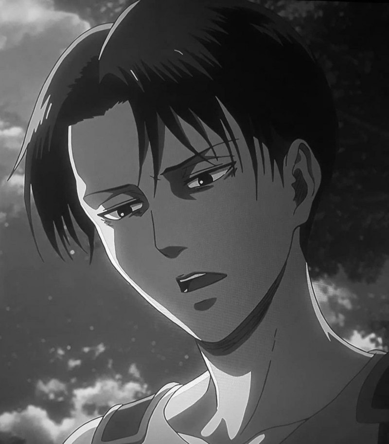 Леви Аккерман