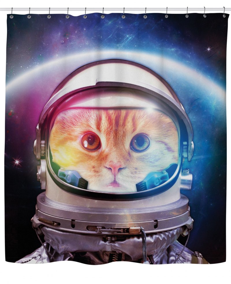 Кот космонавт