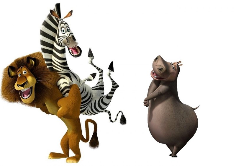 Мадагаскар персонажи имена и фото