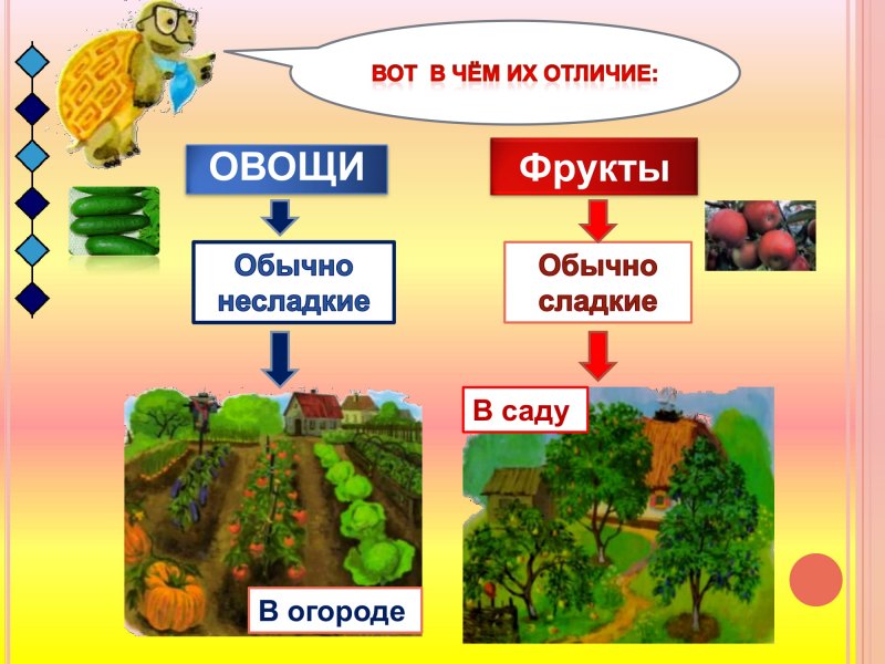 Отличие фруктов от овощей