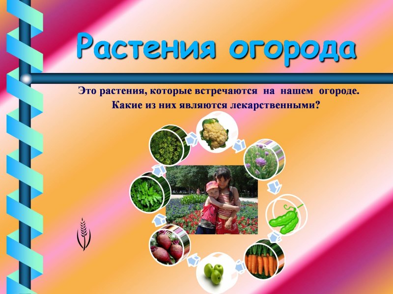 Стихотворение про огород