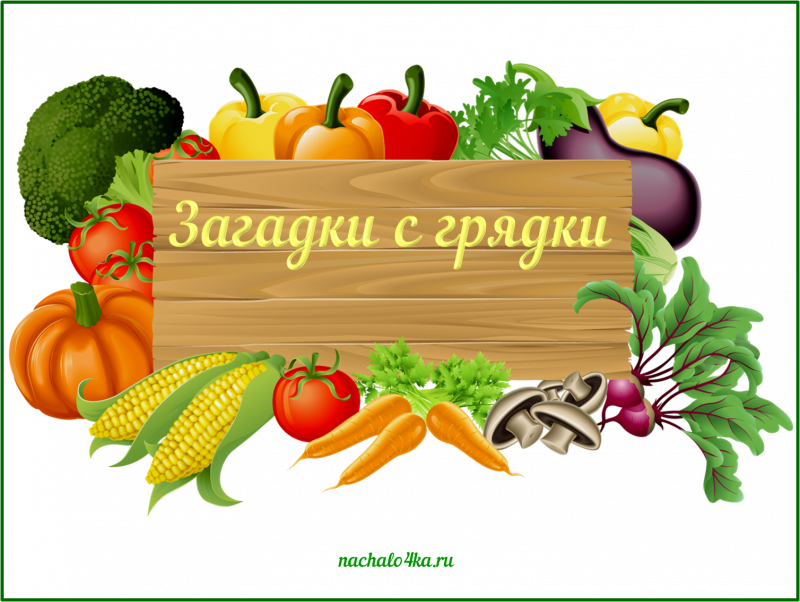 Рамка дача