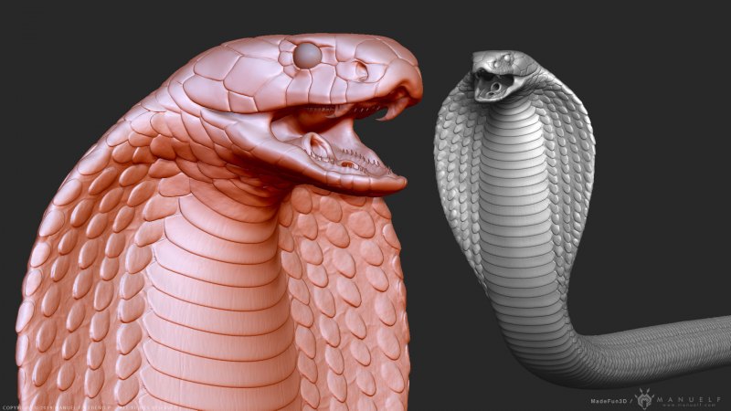 Королевская Кобра 3d
