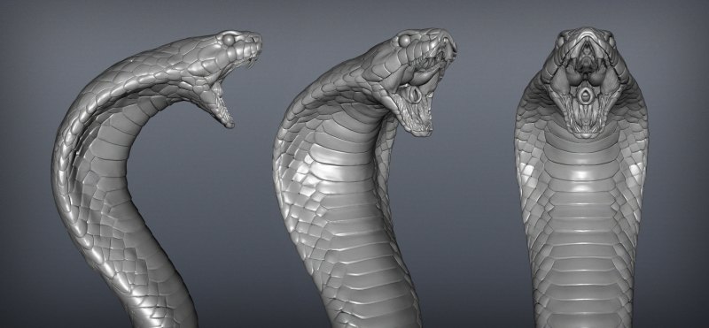 Zbrush 3d змея