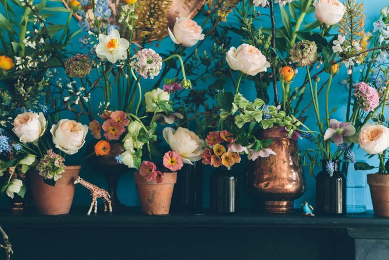 Цветы в пинтересте