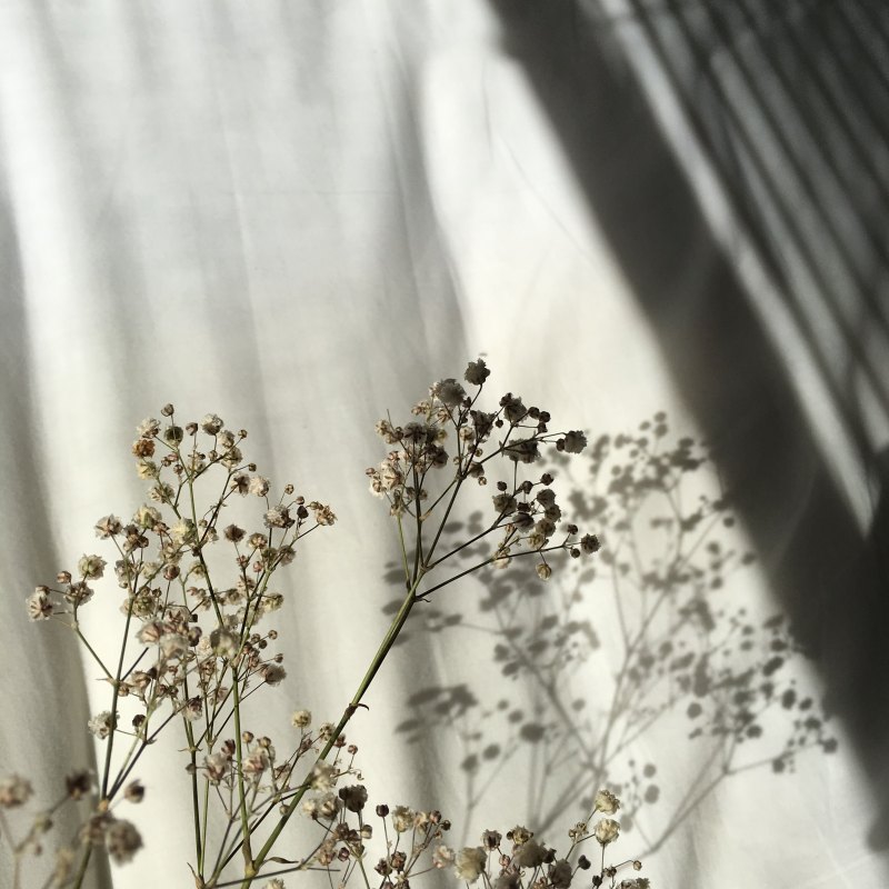 Эстетика Минимализм