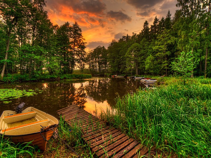 Природа лес речка
