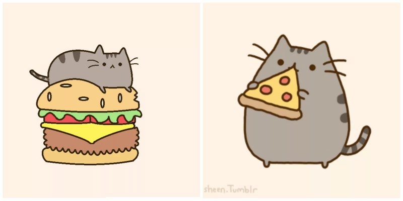 Котик Пушин для срисовки