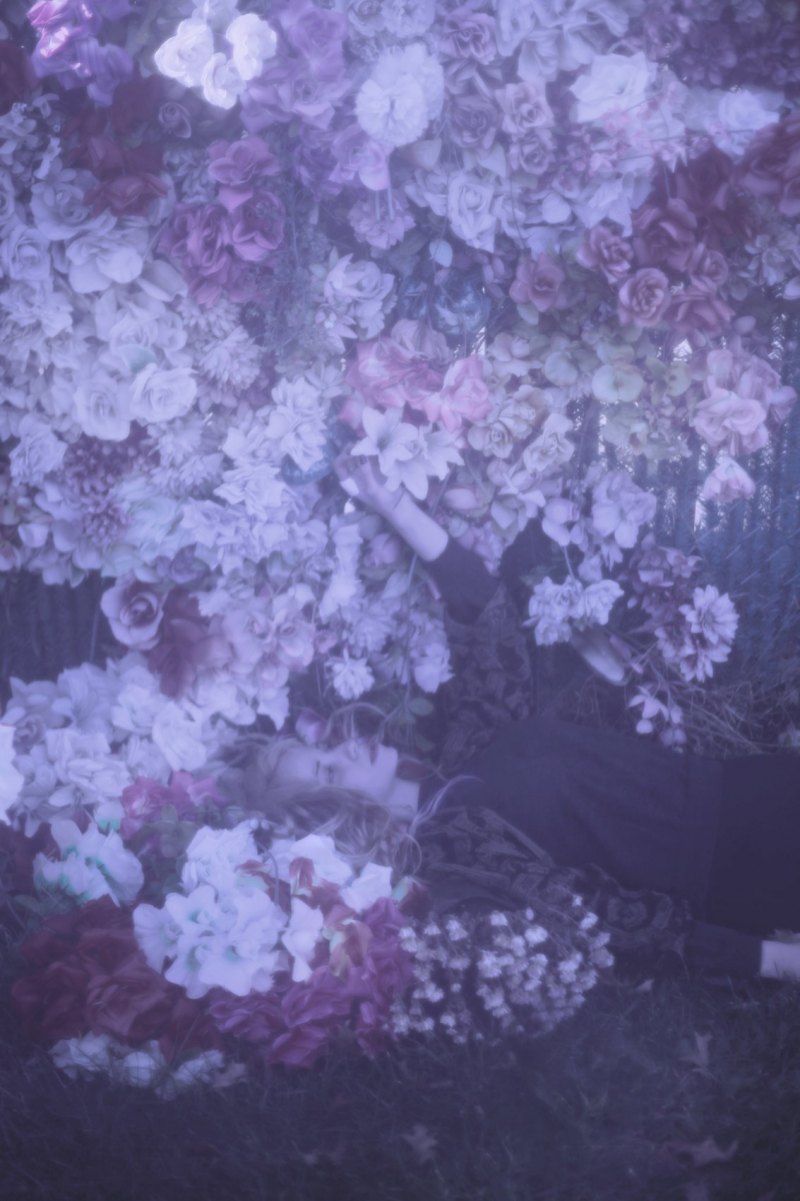 Фиолетовый Эстетика нежный