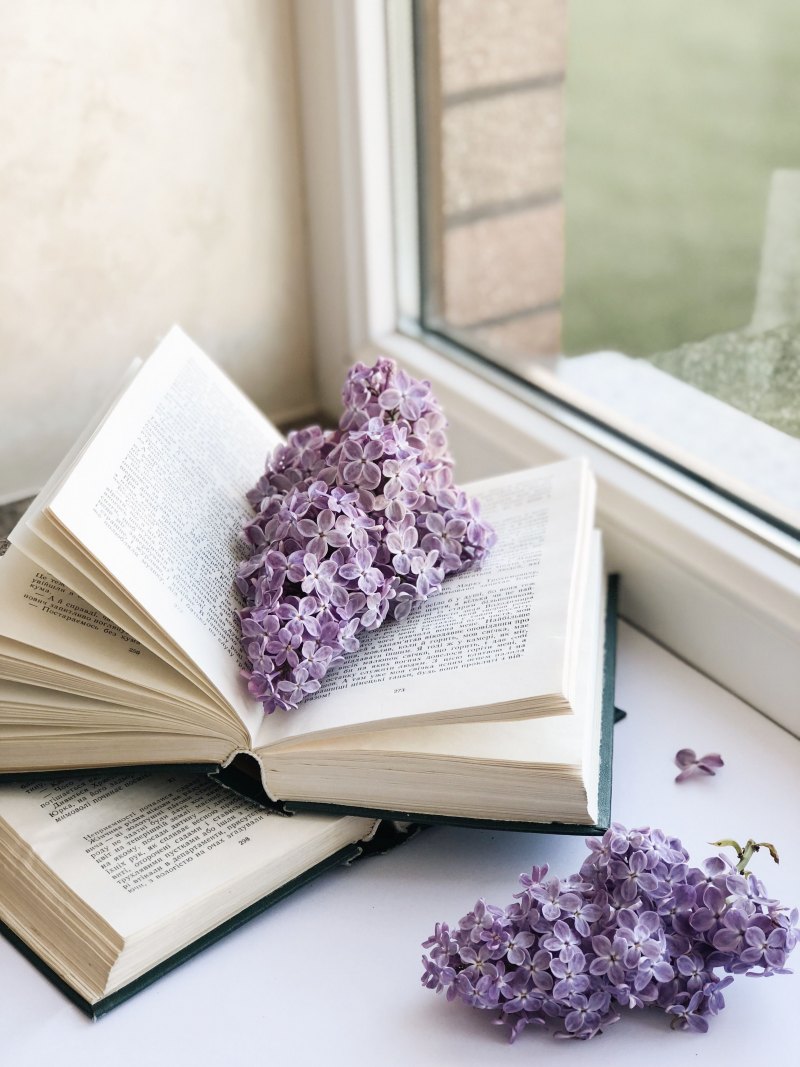 Эстетика книг и цветов