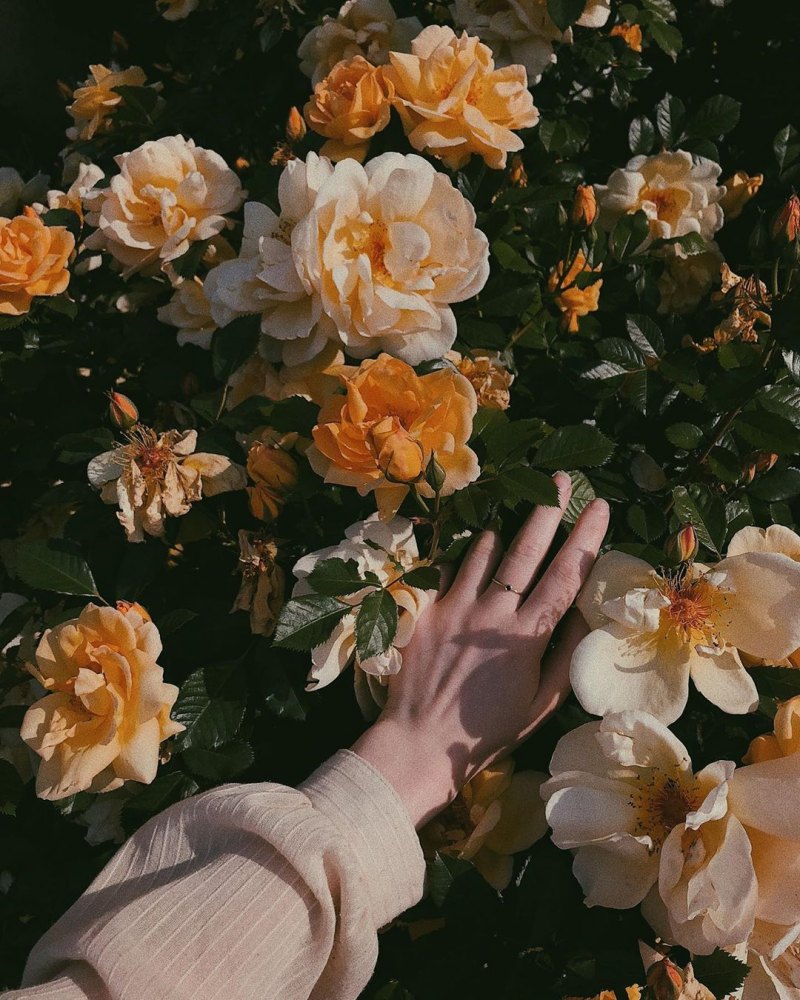 Эстетика Флауверсом