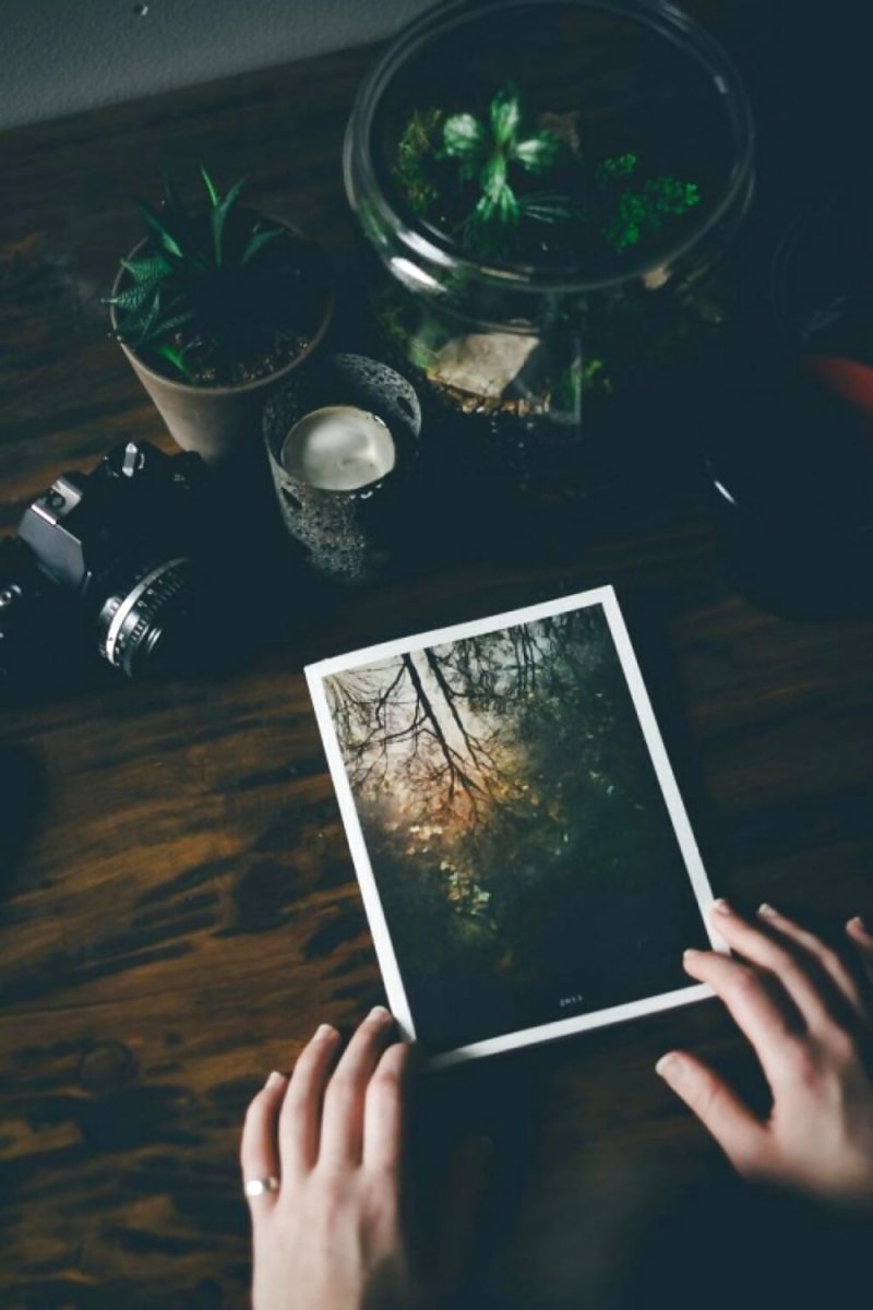 Вдохновение Эстетика