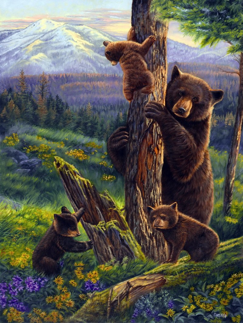 Медвежата в живописи