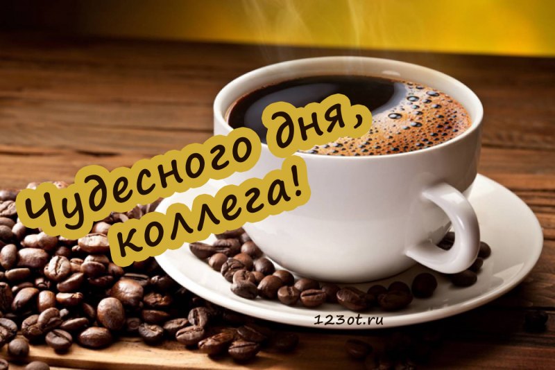 Удачного дня коллеги