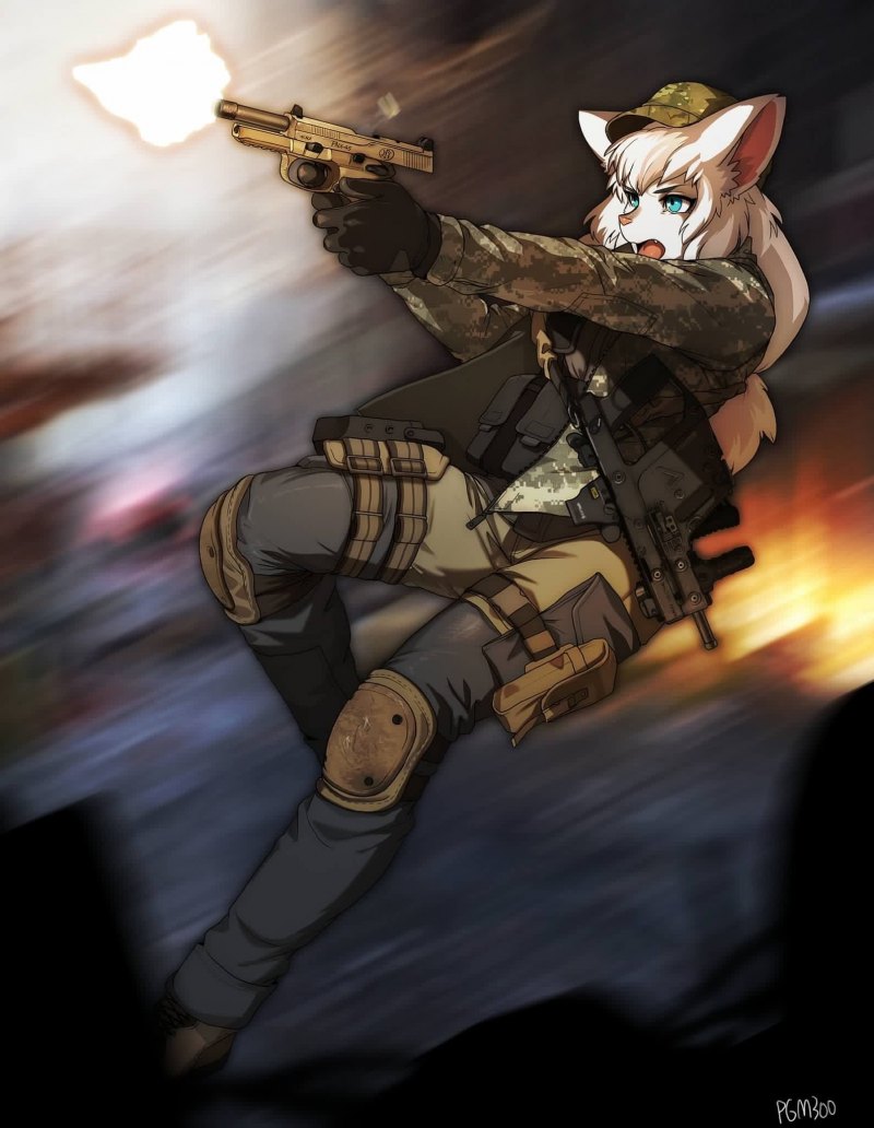 Furry военные