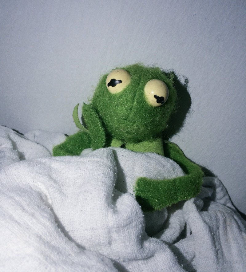 Лягушка Кермит Эстетика