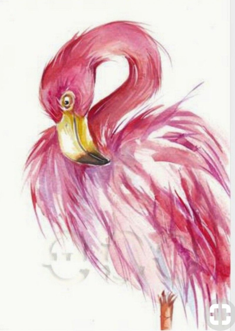 Фламинго эскиз