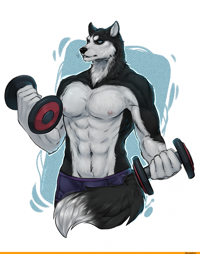 Накаченные фурри