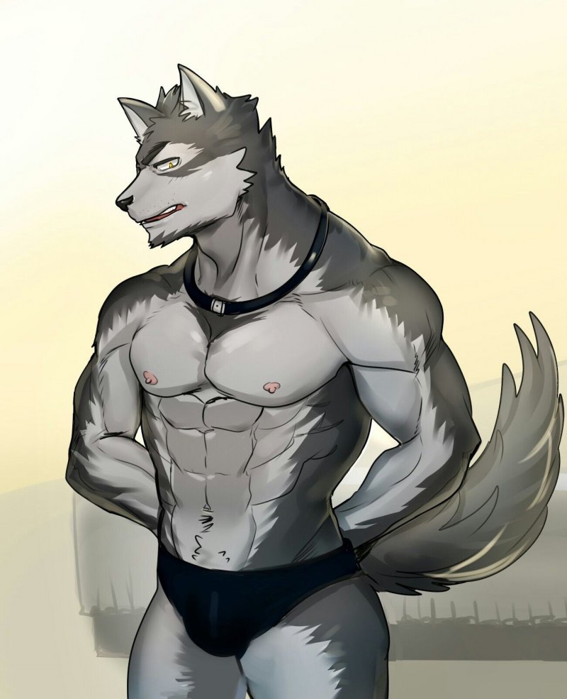 Накаченный кот