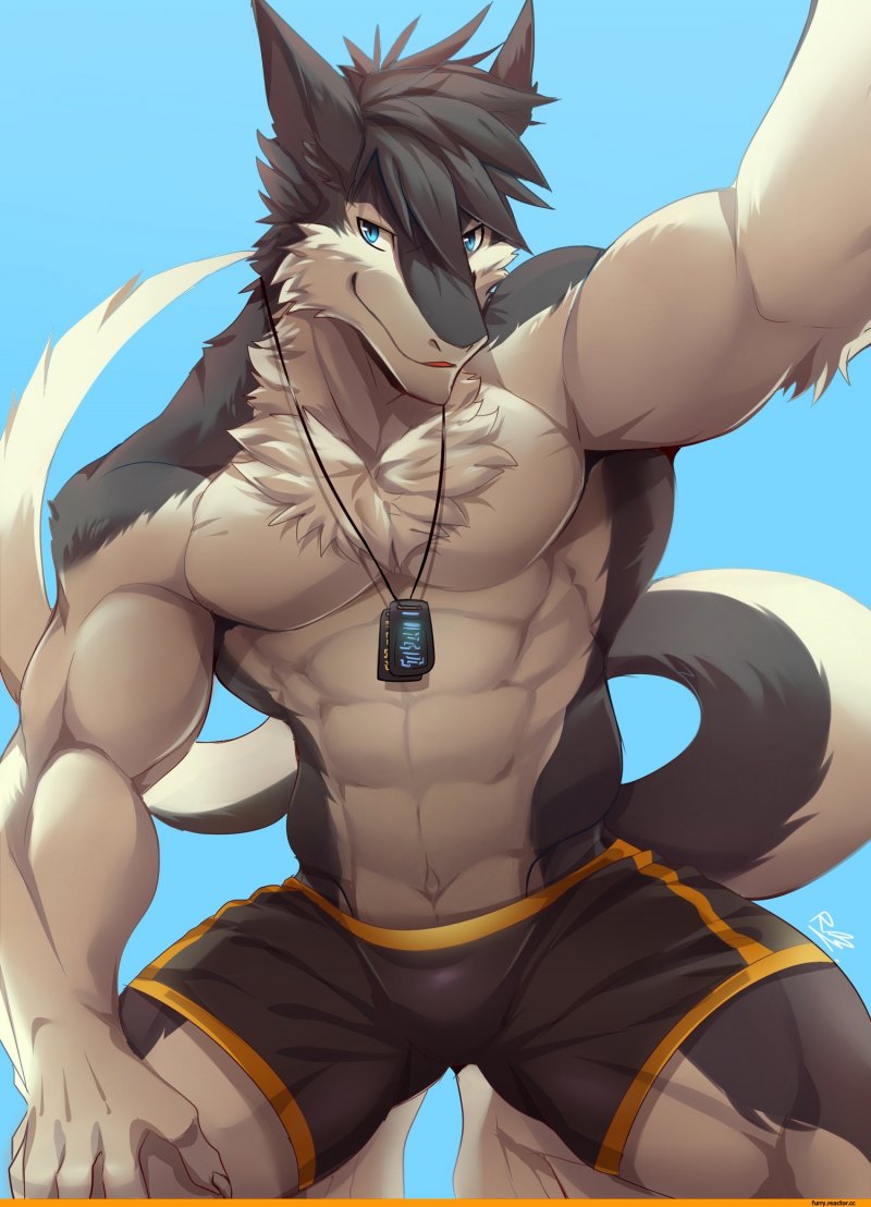 Накаченный Лис деми