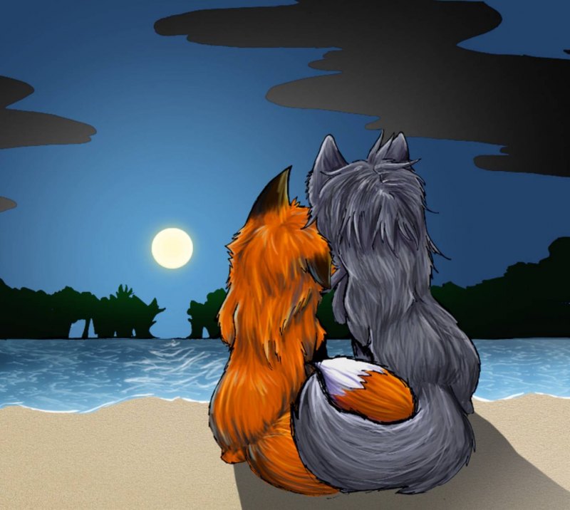 Лиса и волк вместе