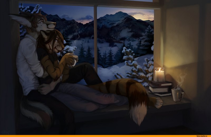 Фурри волки в кровати