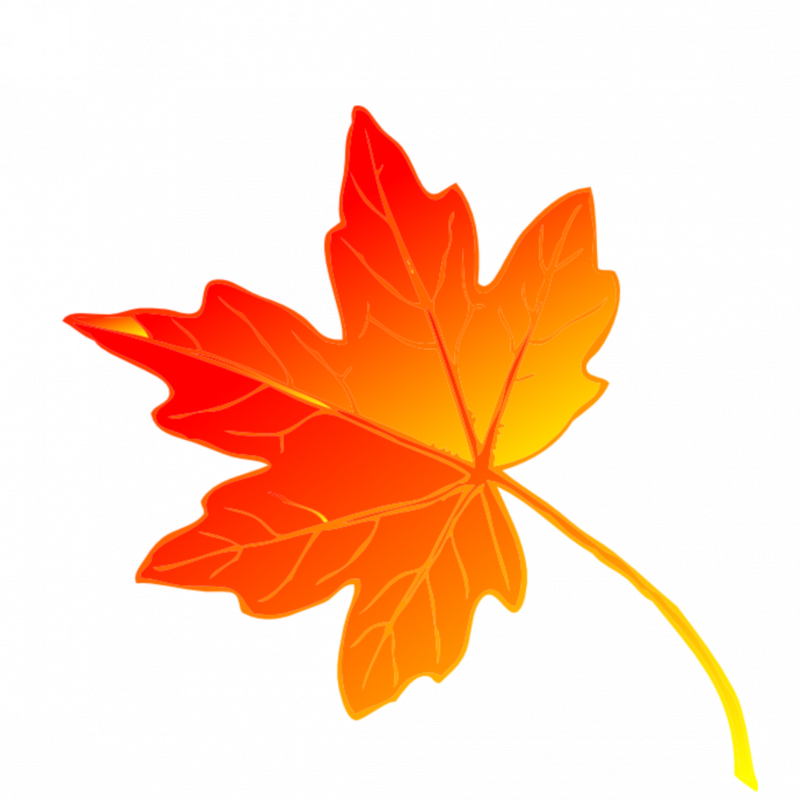 Оранжевый листик