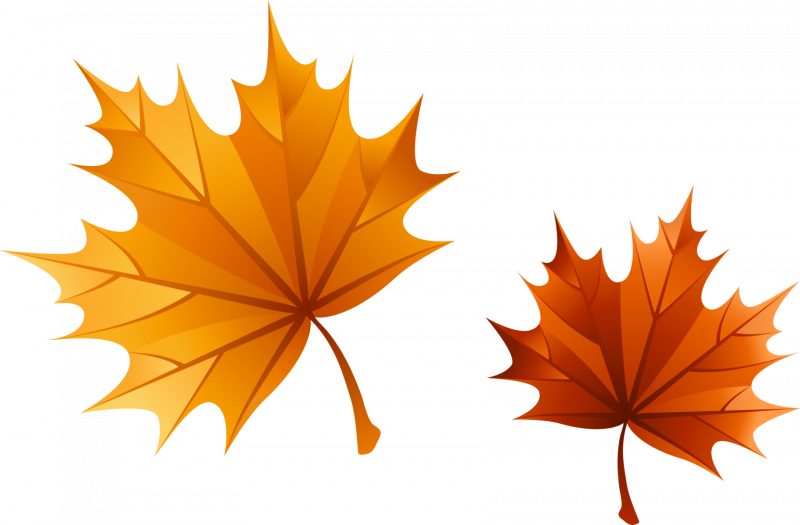 Осенние листья клипарт