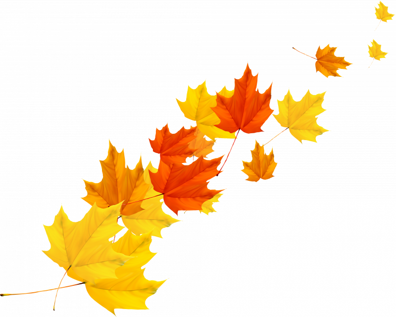 Осенние листья на прозрачном фоне