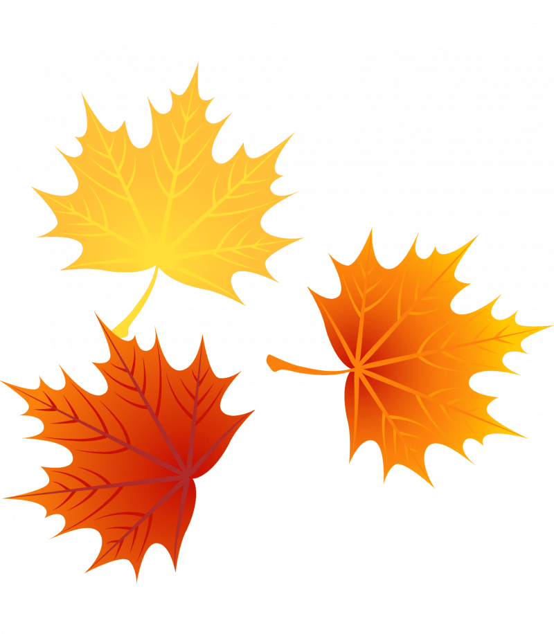 Осенние листья