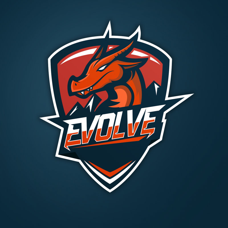 Логотипы киберспортивных команд. Крутые названия. Esports Team logo. Evolve Team аватарка. Команда фулл