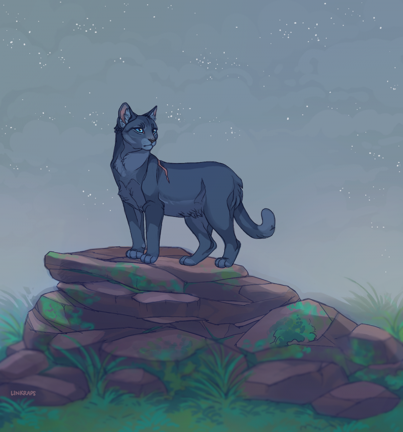 Коты Воители синяя звезда арт