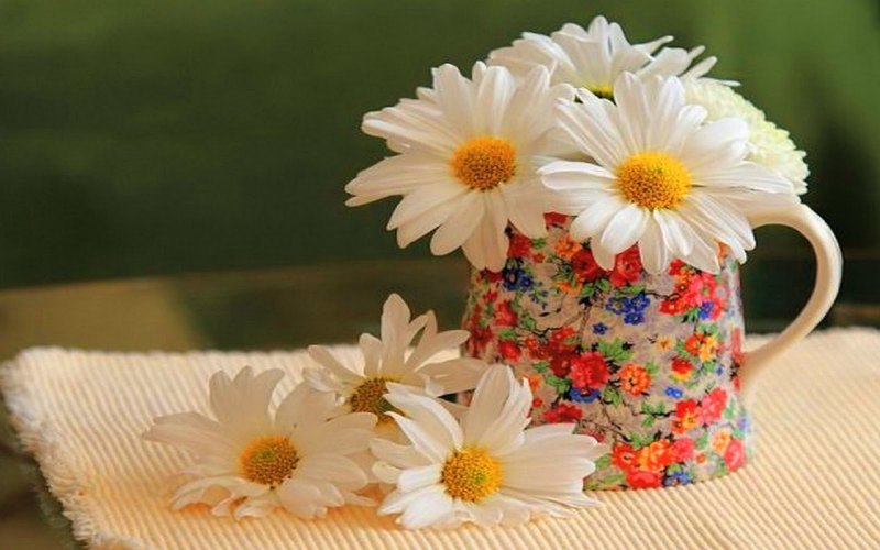 Цветы полевые и сирень