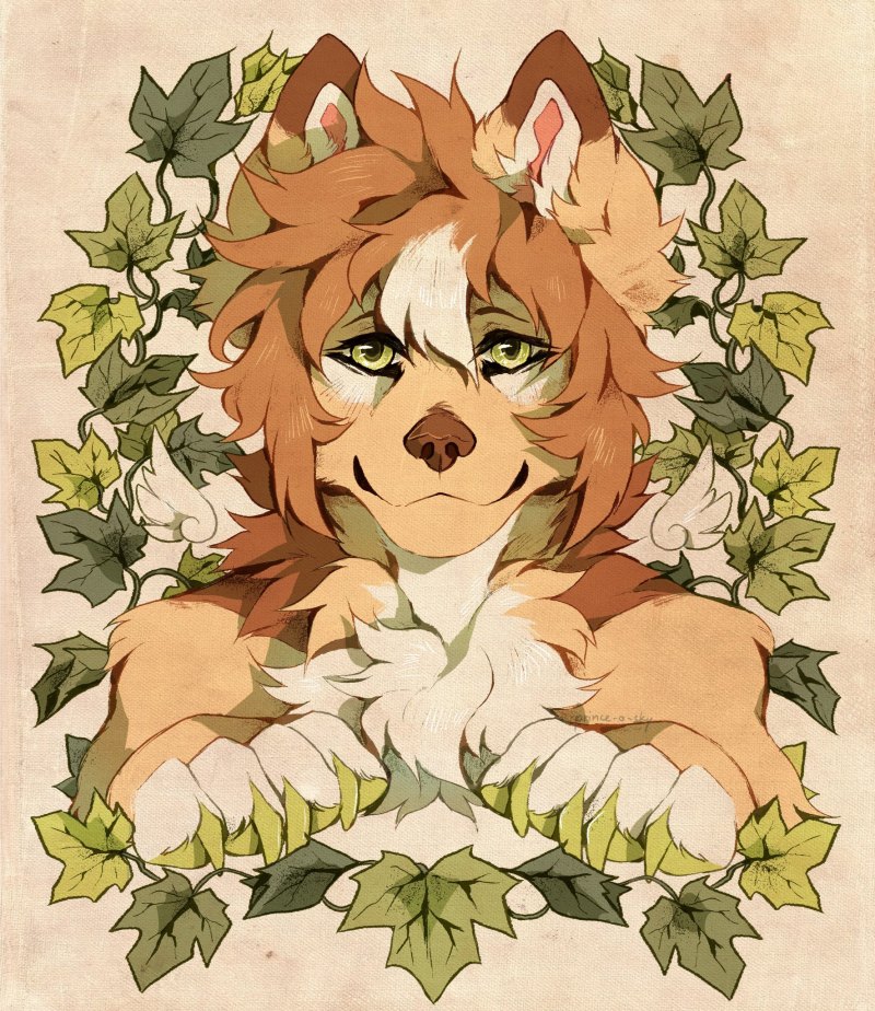 Фурри thanshuhai Fox