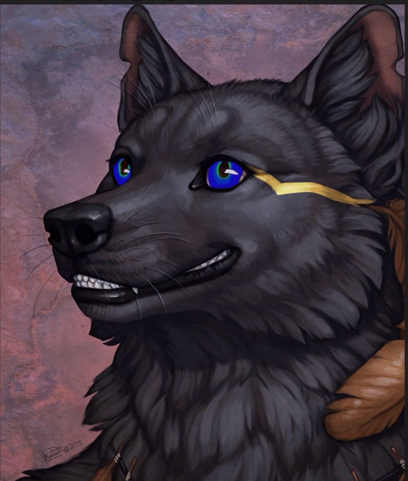 Койот арт фурри