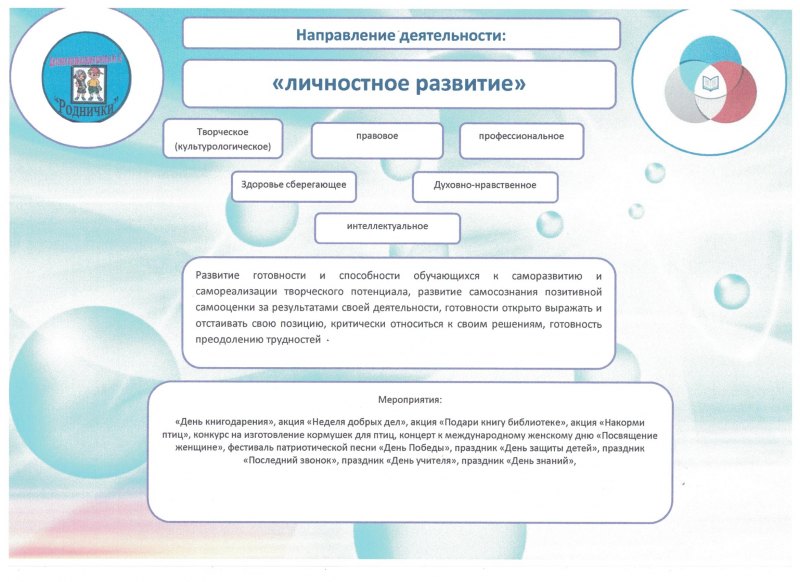 Организация воспитательной работы на основе мероприятий и проектов рдш