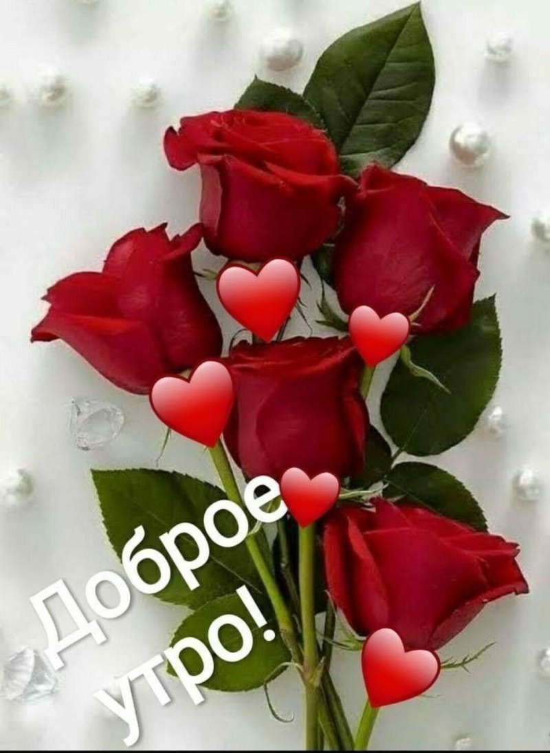 С добрым утром розы