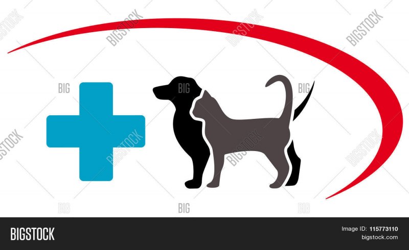 Символика ветеринара