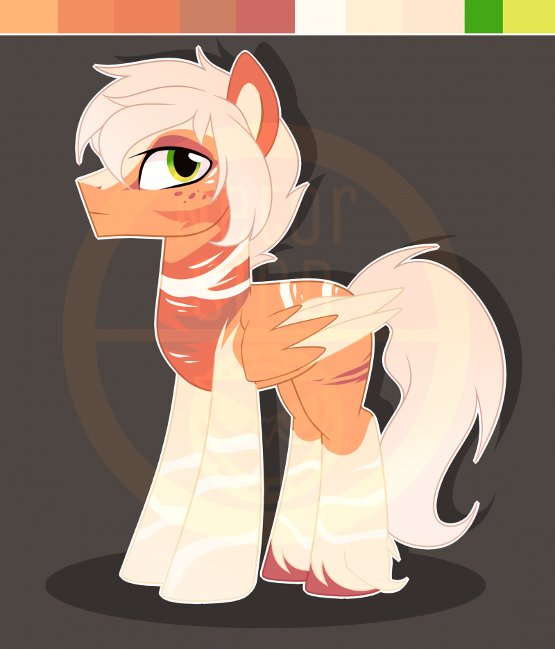 Пони ОС мальчики