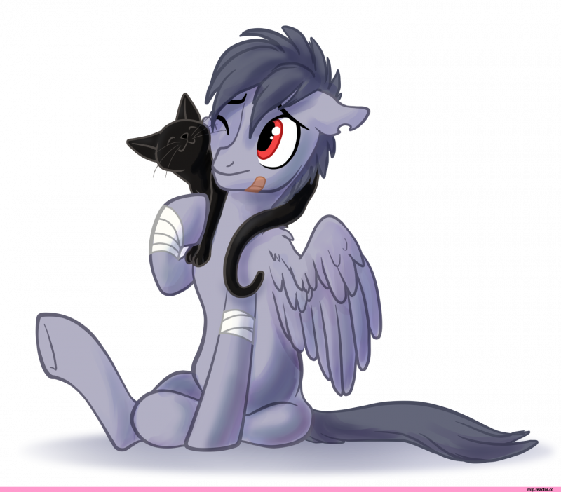 Пони ОС жеребцы