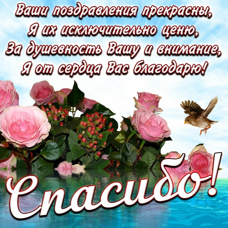 Спасибо за поздравления