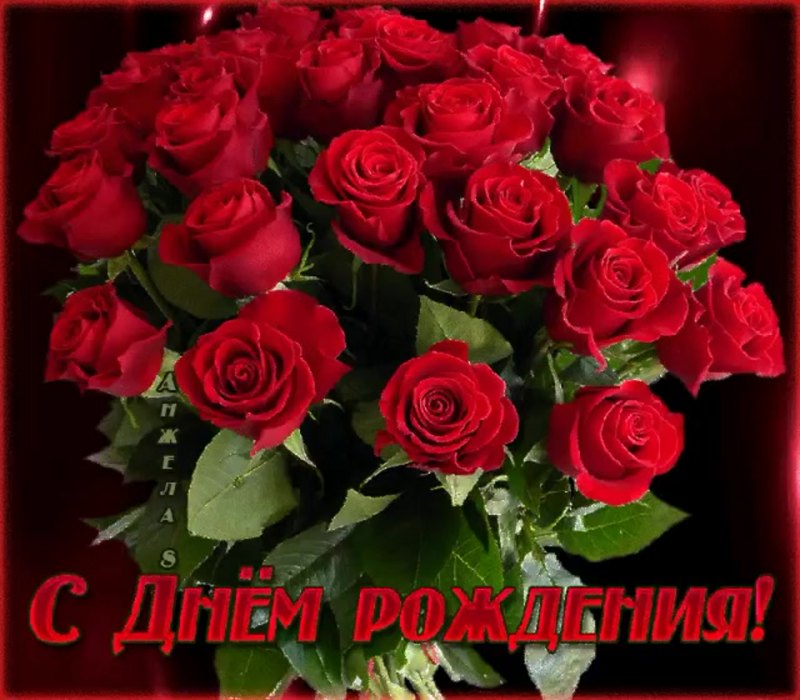 С днём рождения розы красивые