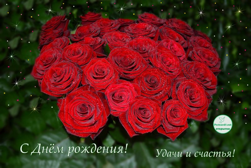 Букет роз с днем рождения