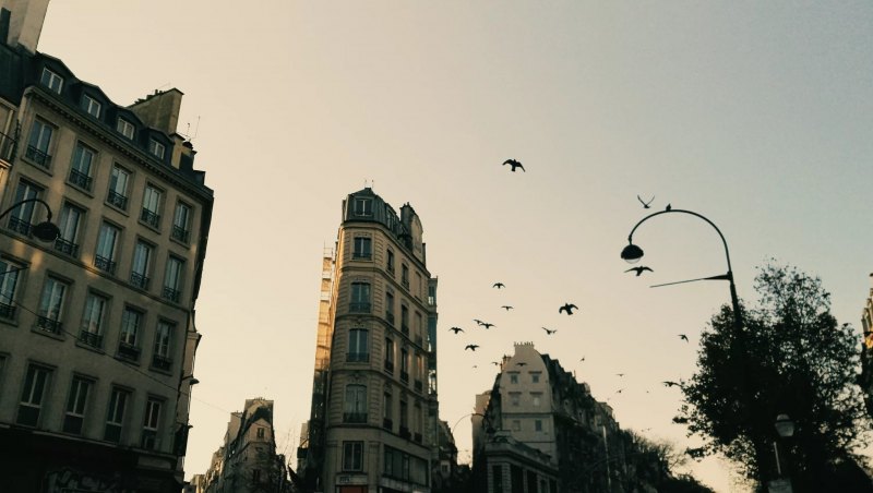 Vsco обои на рабочий стол