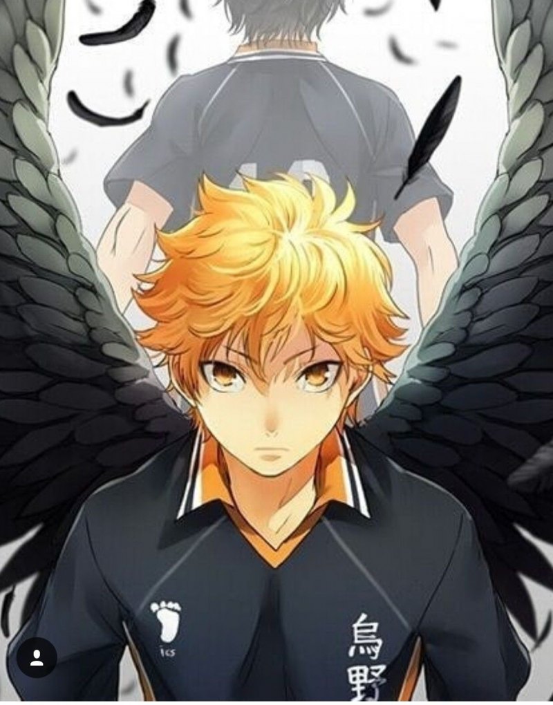 Хината шоё волейбол