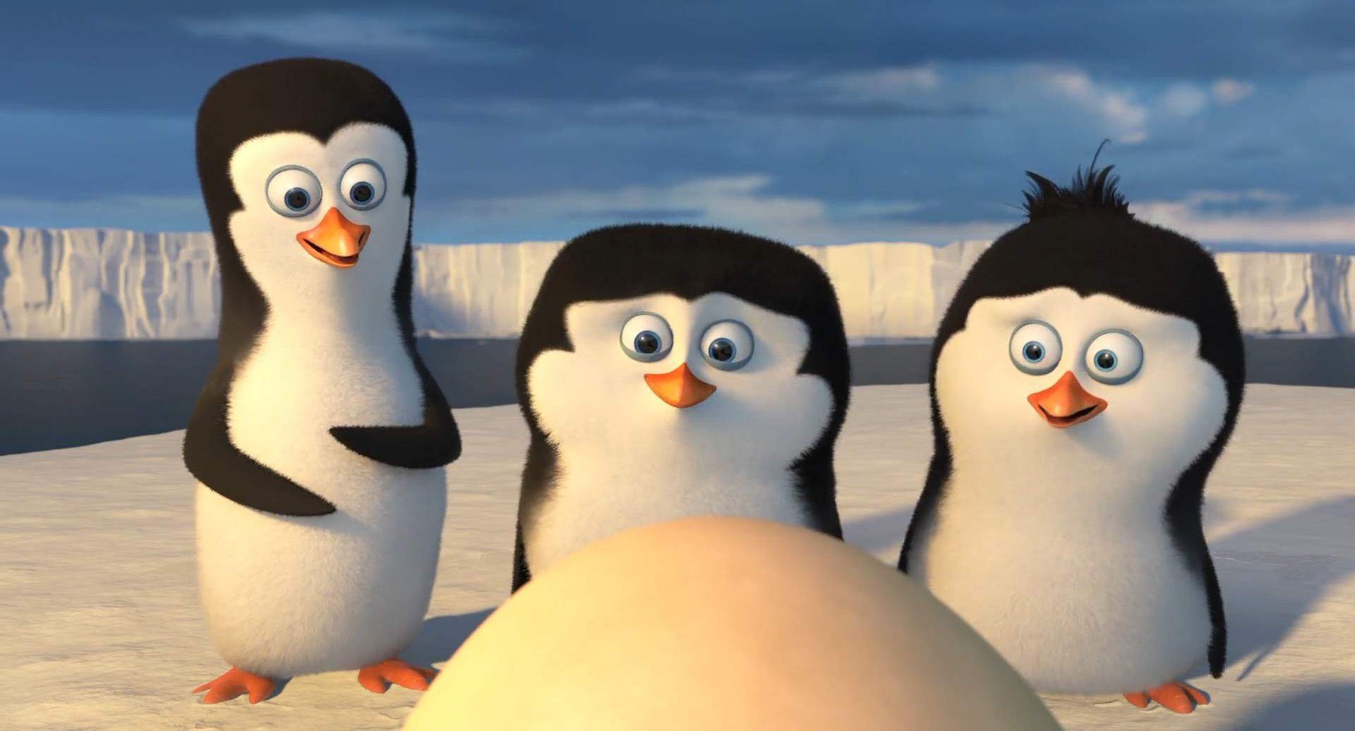 Пингвины моей мамы 8. Пингвины Мадагаскара. Пингвины Мадагаскара 2. Penguins of Madagascar пингвины Мадагаскара 2014. Шкипер Ковальский рядовой и Рико.