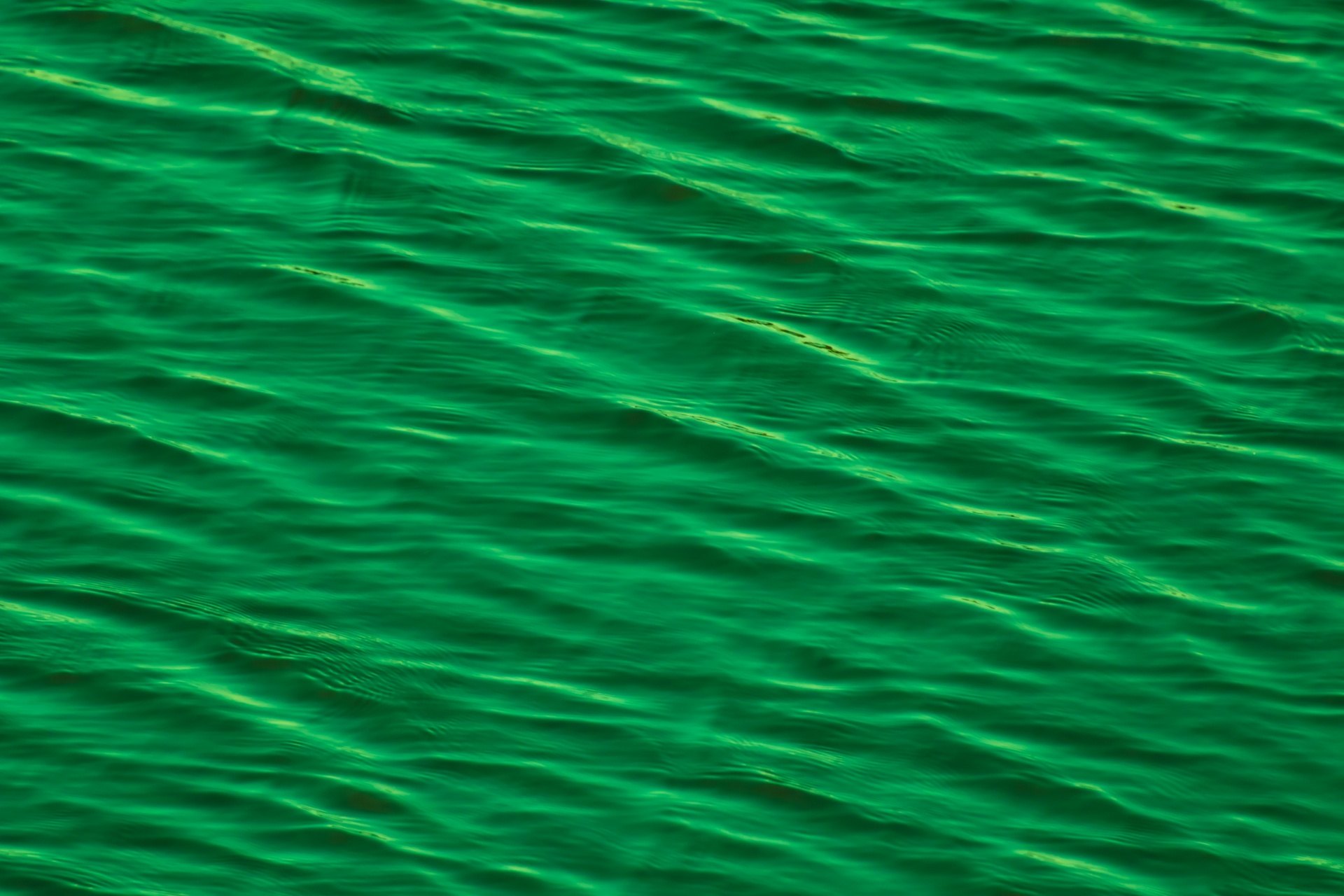 Аква зеленая. Зеленая вода. Воды зеленого цвета. Зеленая вода текстура. Море зеленого цвета.