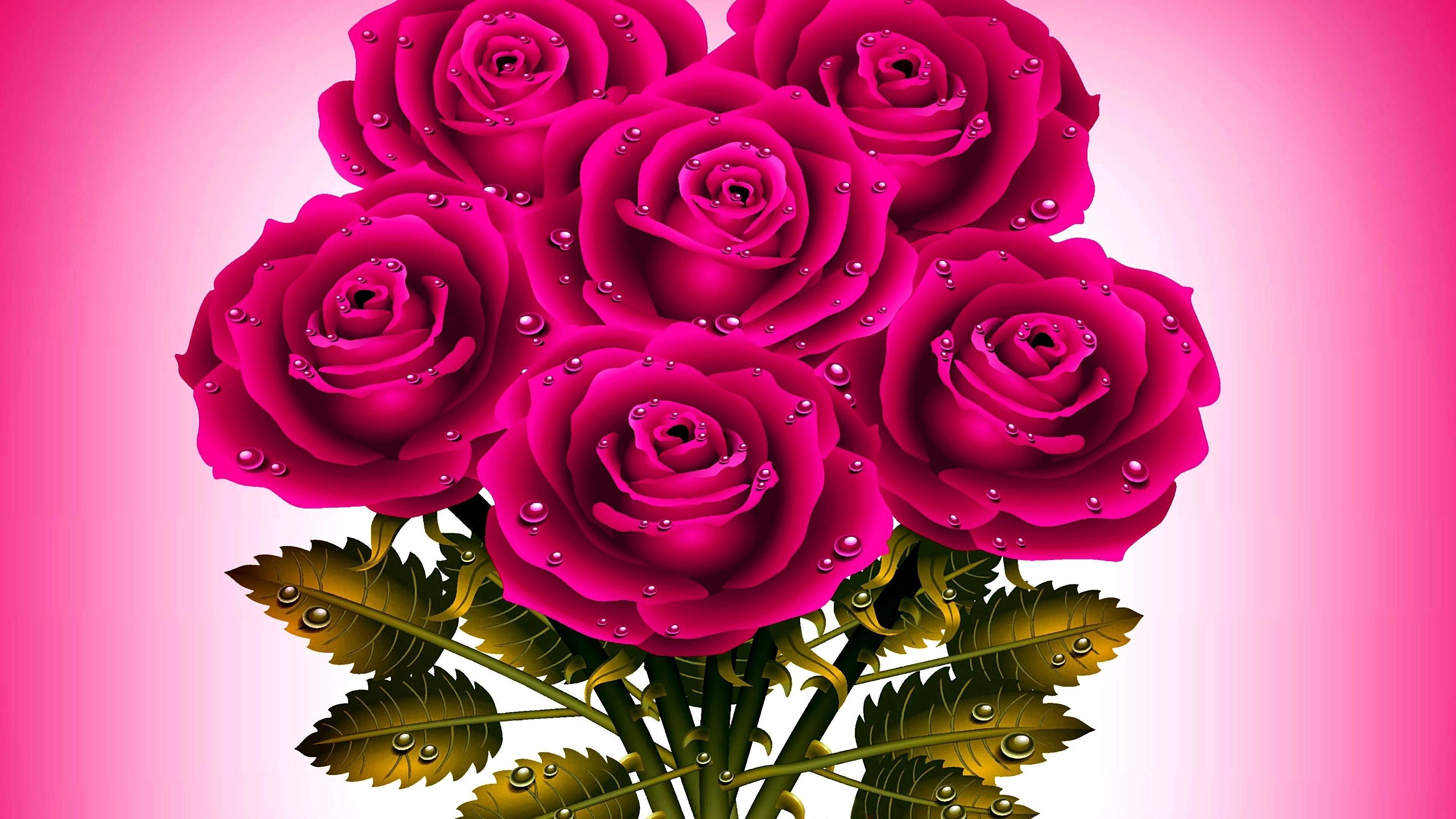 Видео открытка разные. Красивые цветы. Очень красивые цветы. Картинки на рабочий стол розы. Открытка цветы.