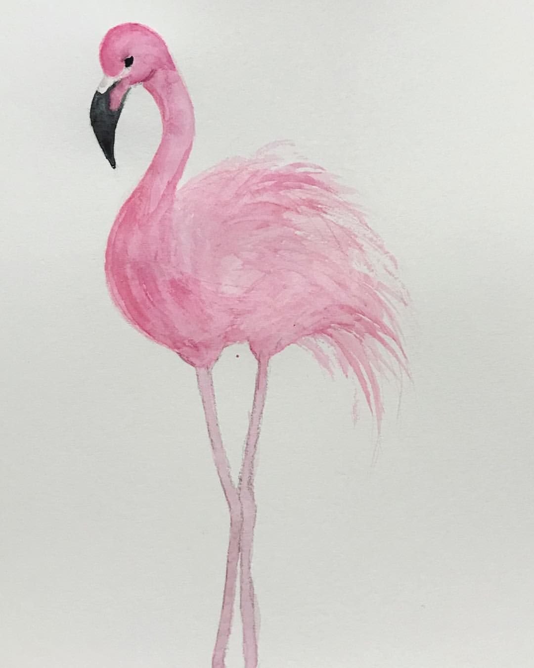 Фламинго легко. Фламинго срисовать. Картинки Фламинго для срисовки. Фламинго рисунок для срисовки. Фламинго картинка для детей.
