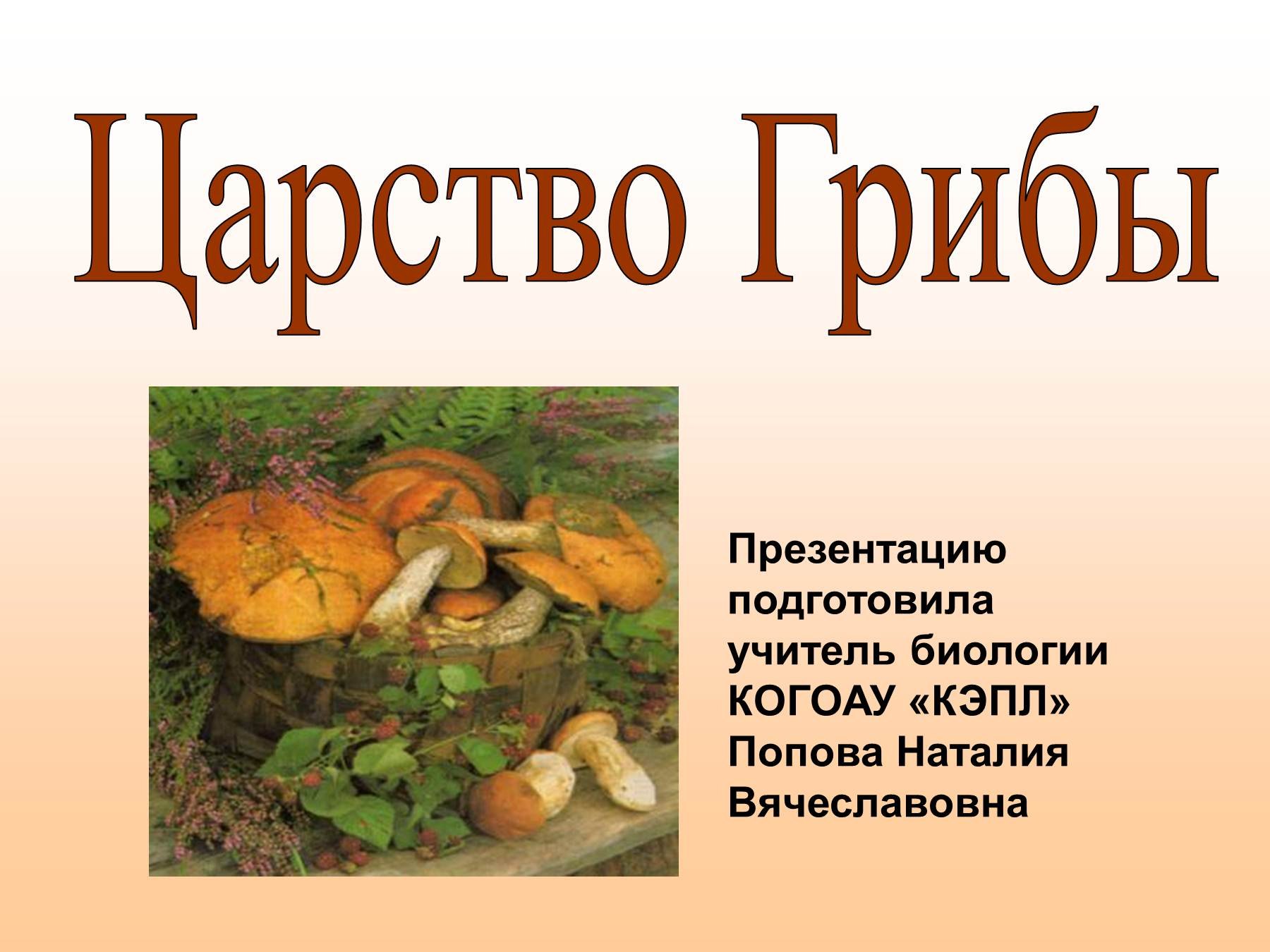 Дмитрий Тихомиров царство грибов
